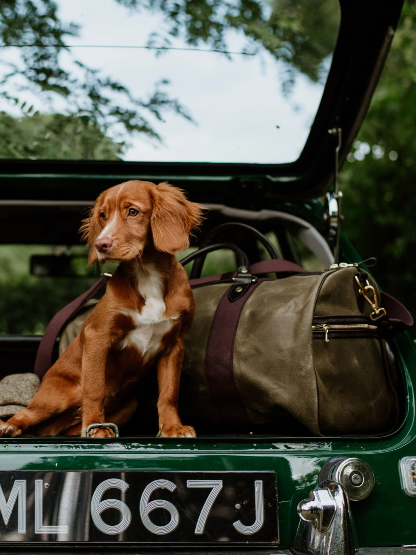 Wax Holdall - Image 4